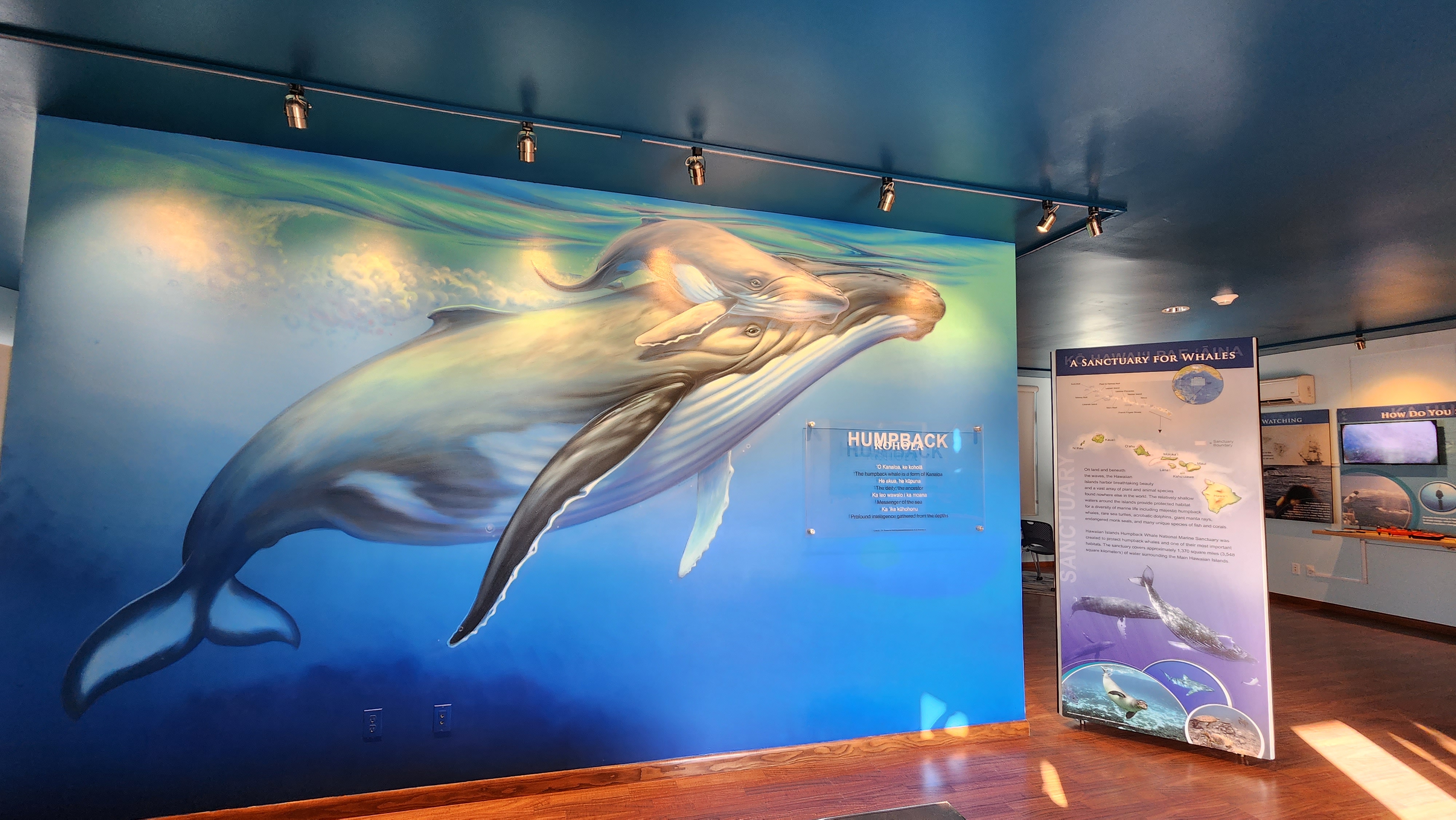 Hawaiian Islands Humpback Whale Kihei Visitor Center photo