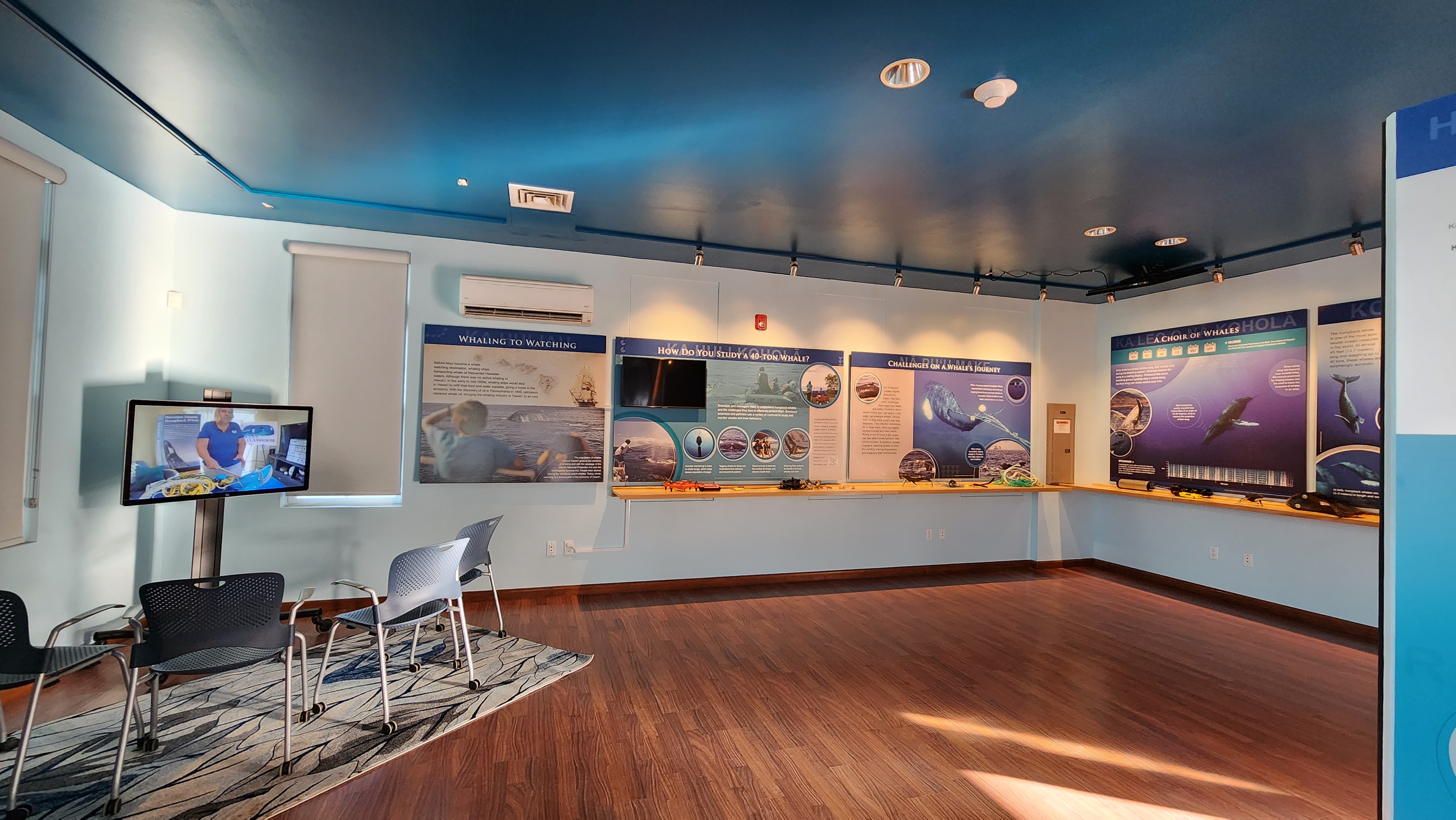 Hawaiian Islands Humpback Whale Kihei Visitor Center photo 2