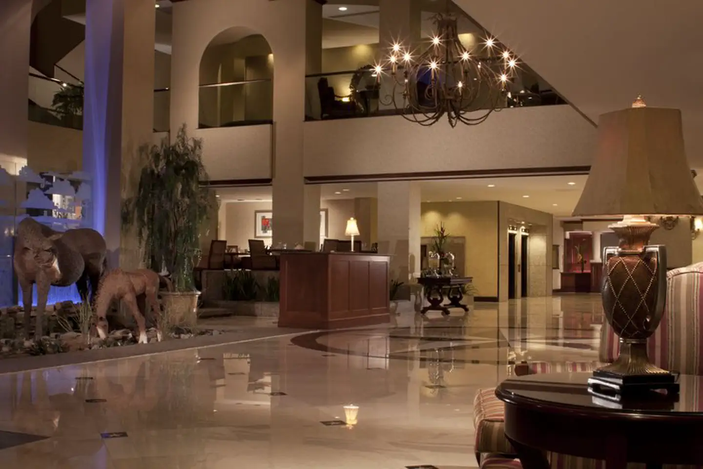 Hilton Fort Worth photo 3
