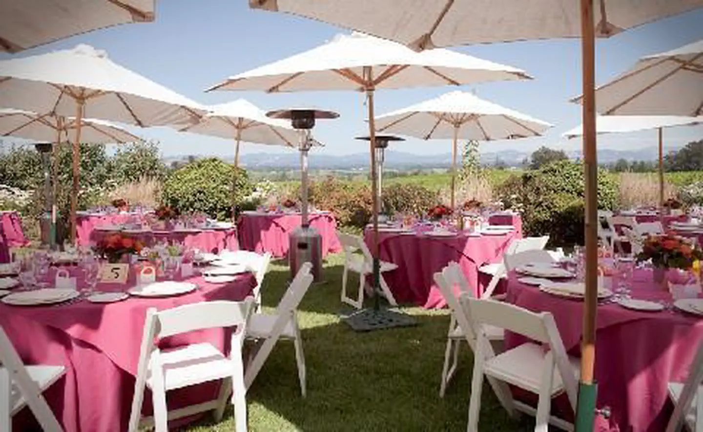 Hotel La Rose photo