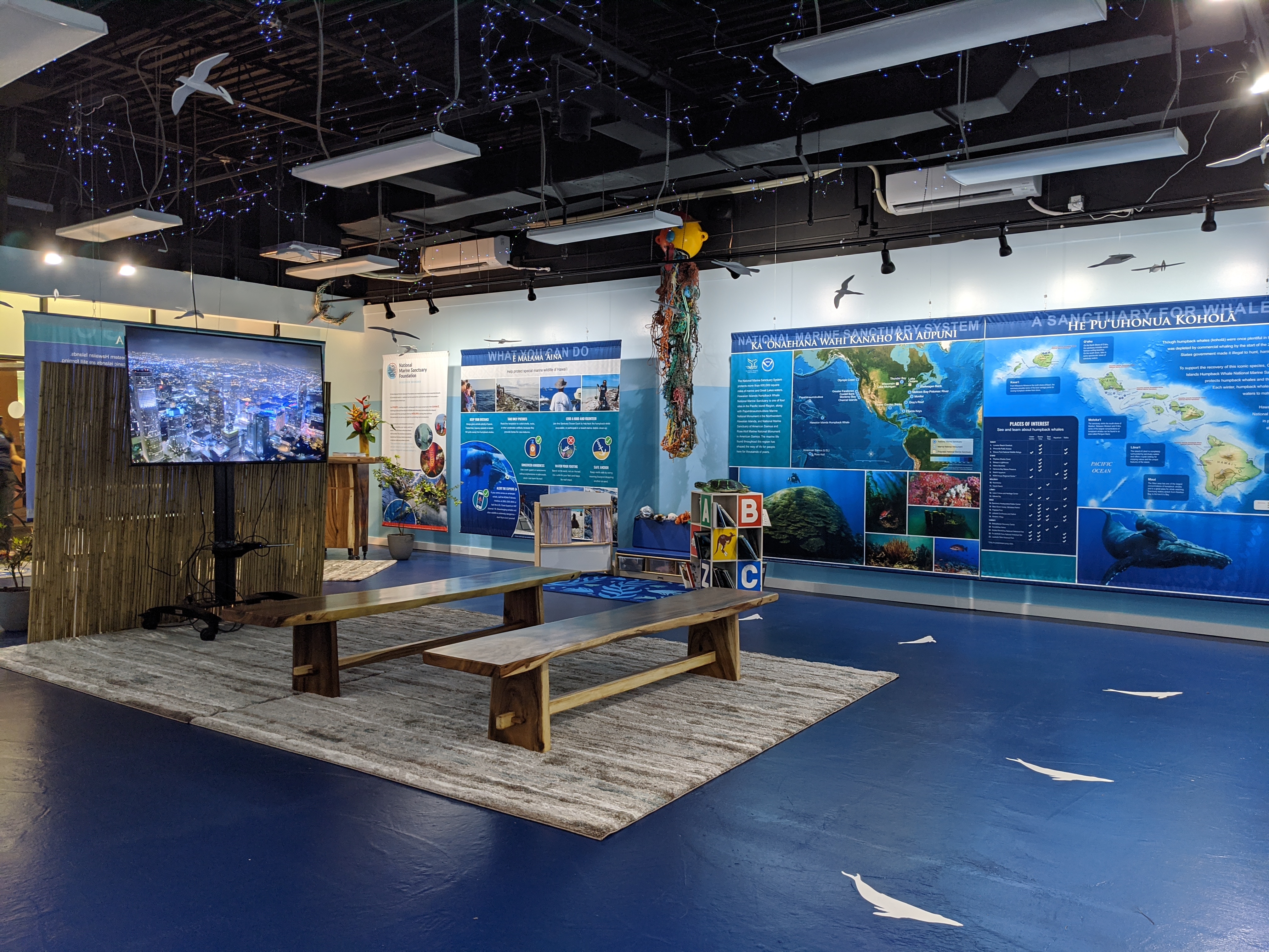 Kaua'i Ocean Discovery photo