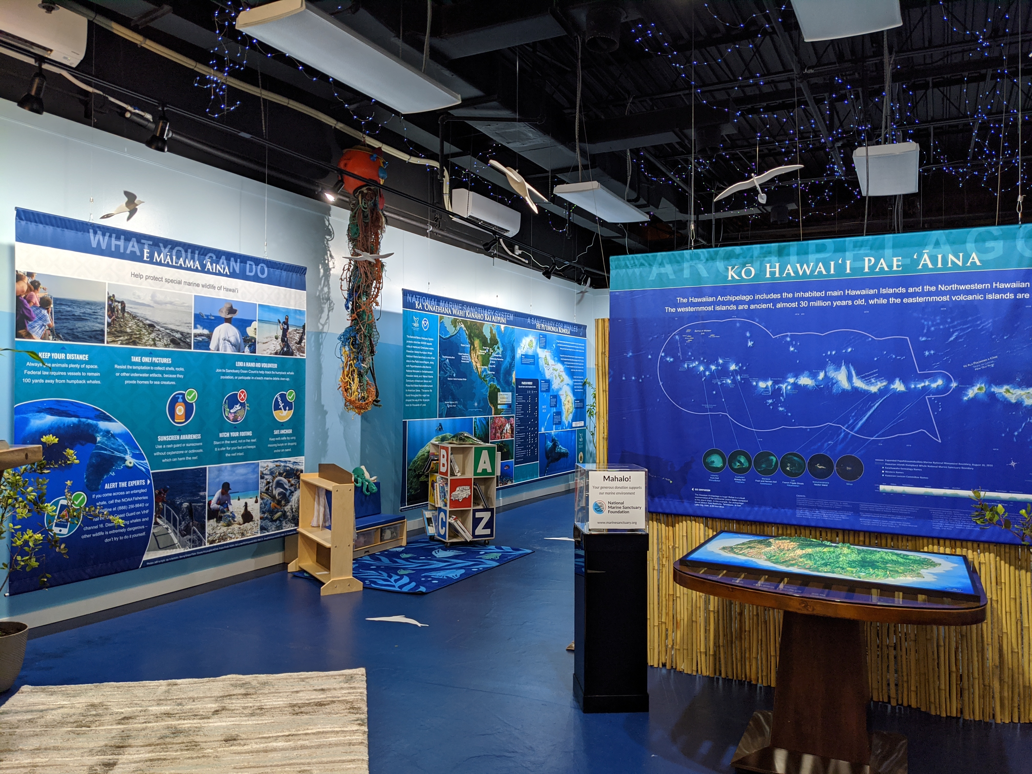 Kaua'i Ocean Discovery photo 2