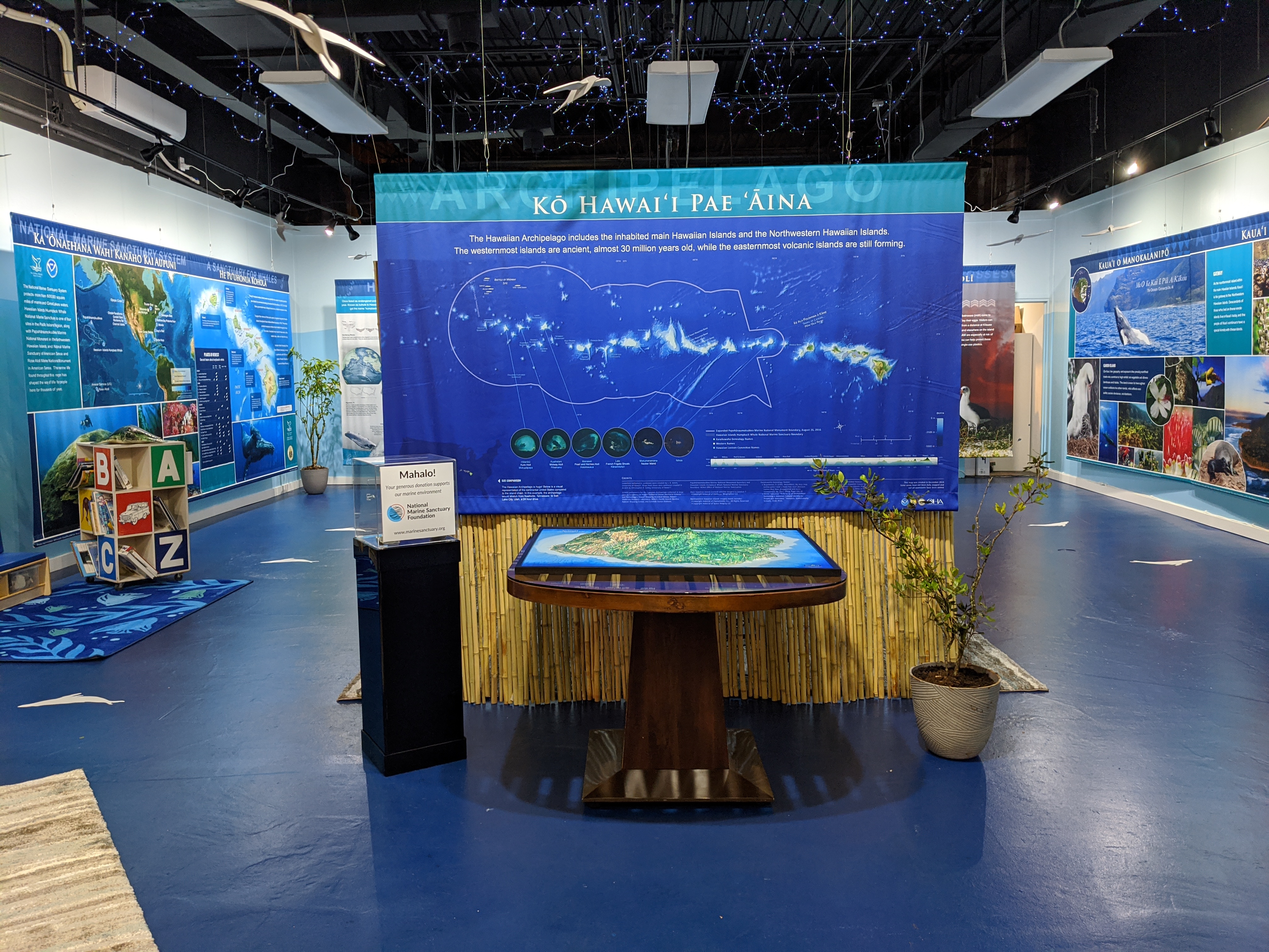Kaua'i Ocean Discovery photo 3