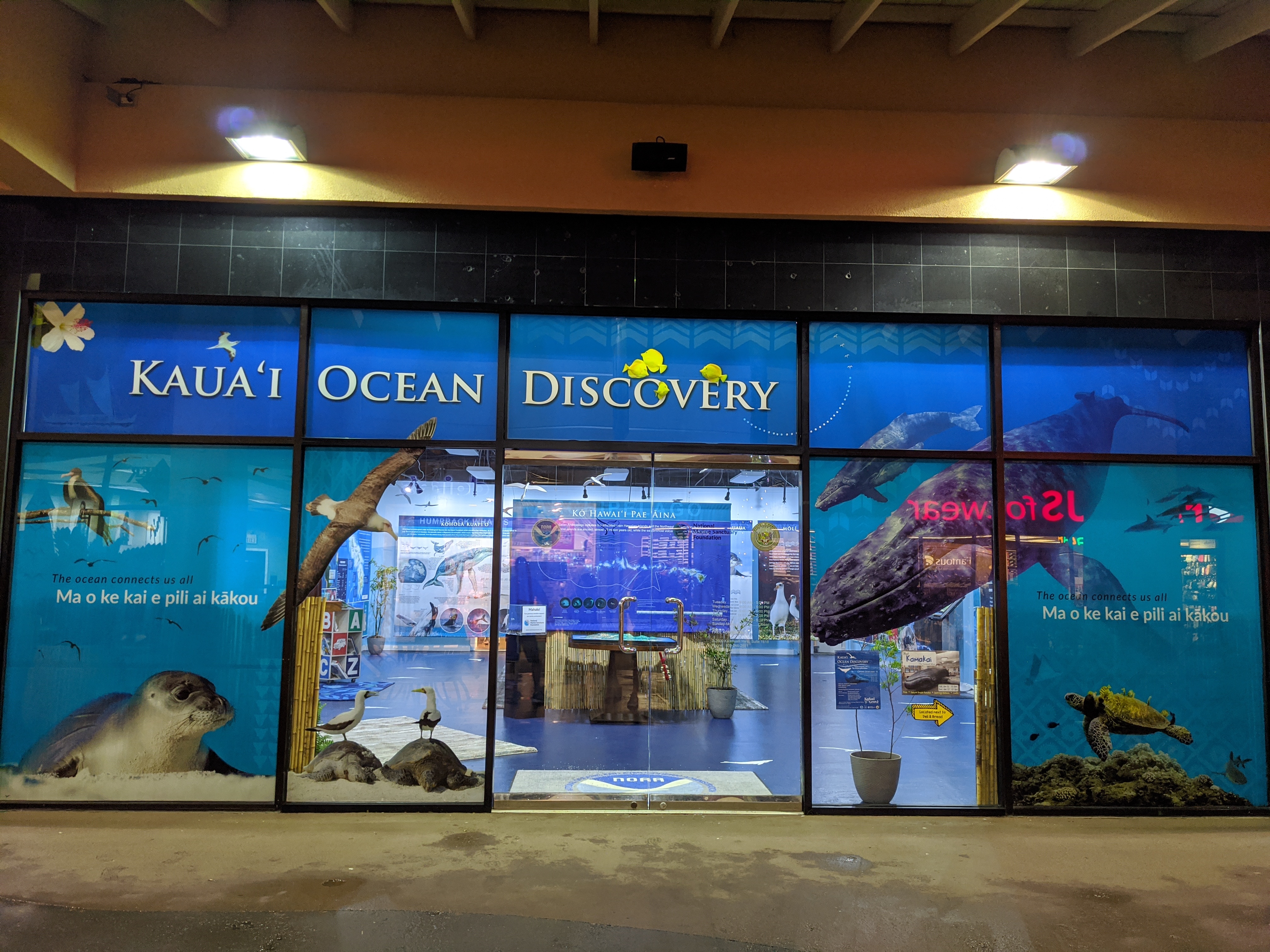 Kaua'i Ocean Discovery photo 4