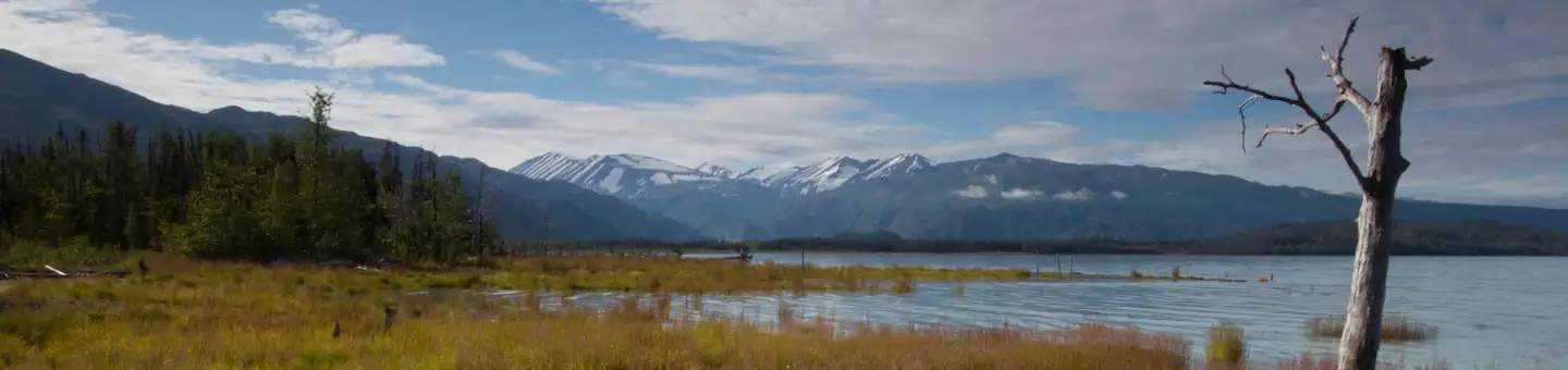 Kenai Wilderness photo