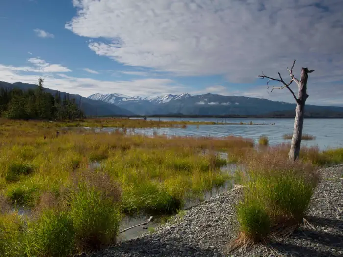 Kenai Wilderness photo 2