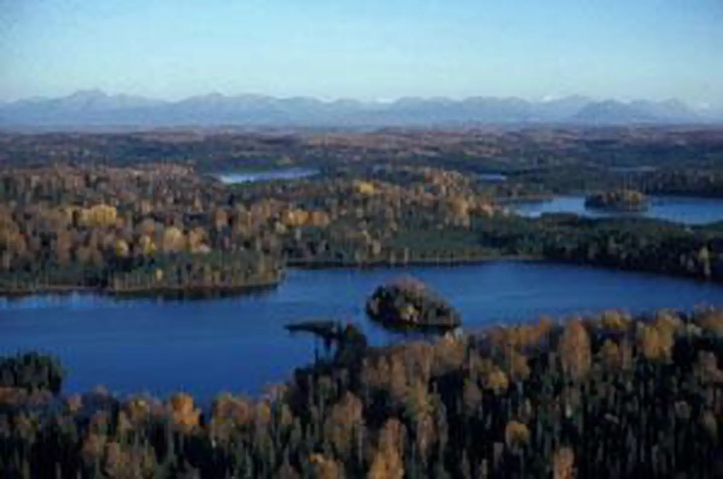 Kenai Wilderness photo 3
