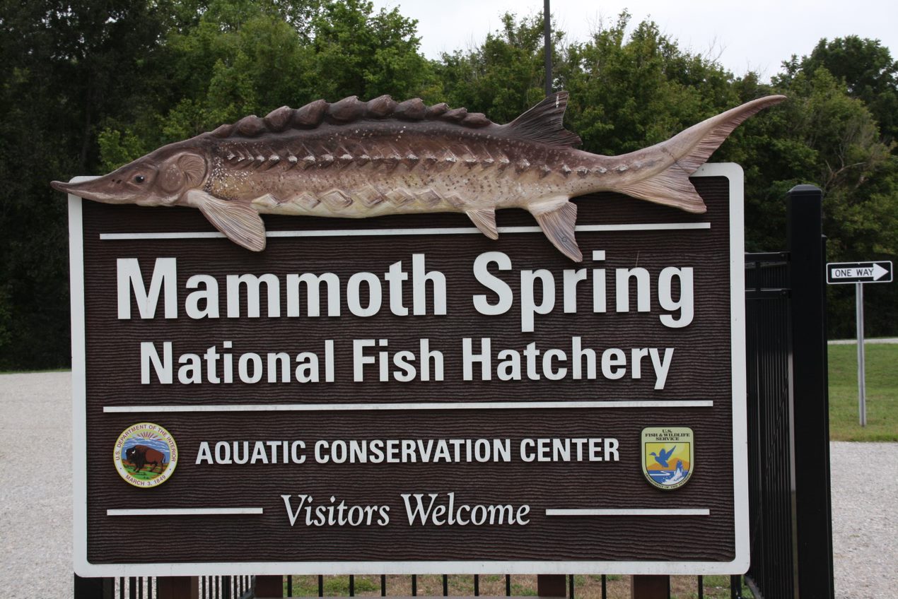 Mammoth Spring National Fish Hatchery photo