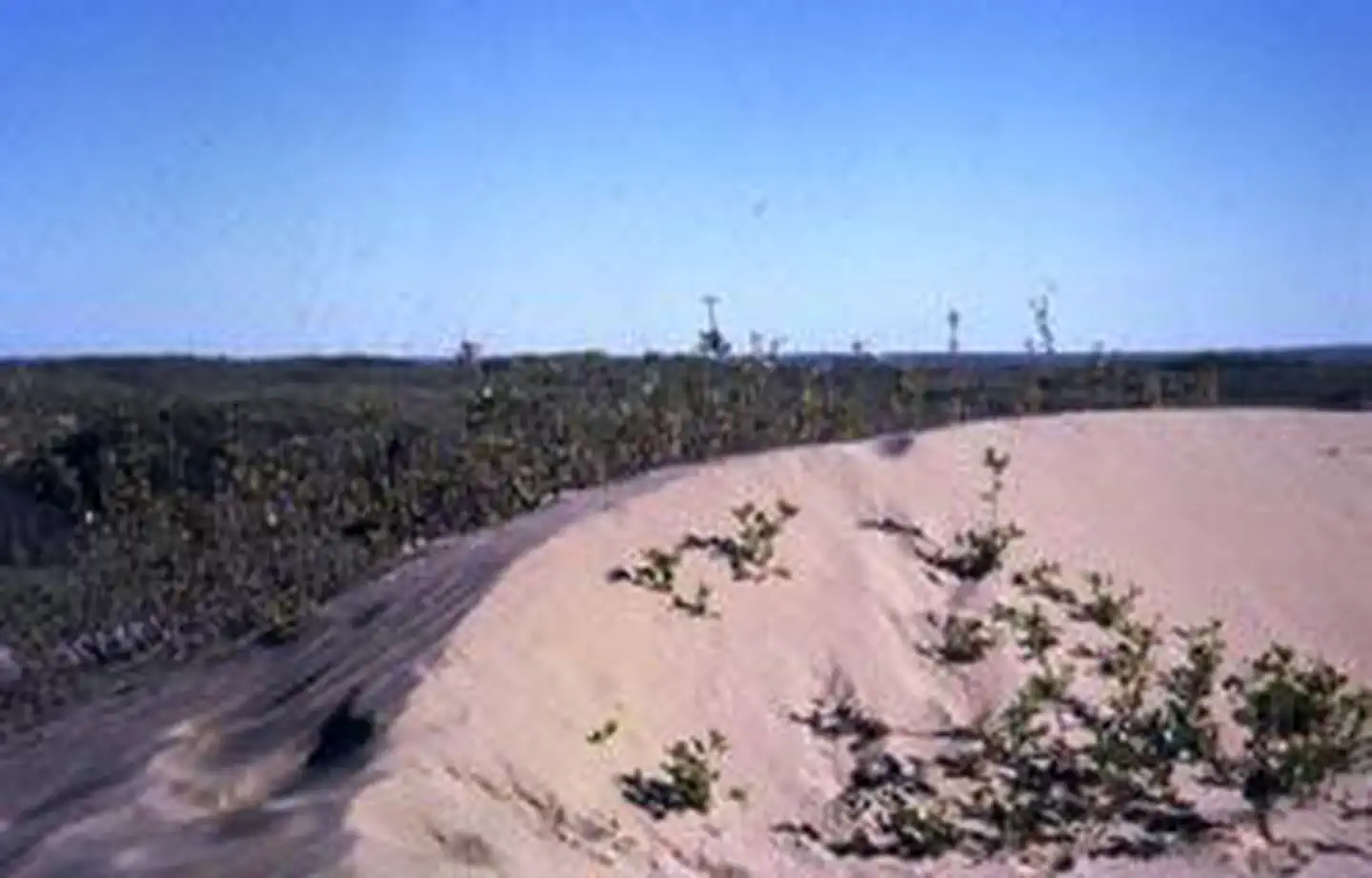 Medicine Lake Wilderness photo