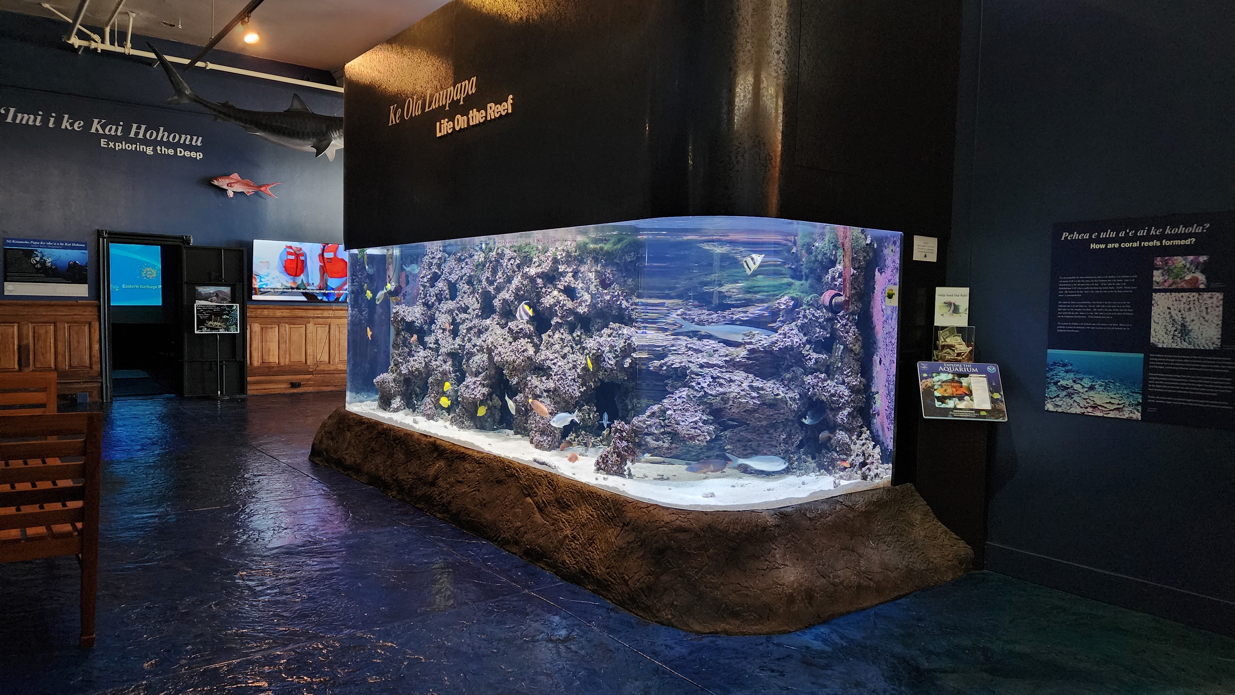 Mokupāpapa Discovery Center photo 2