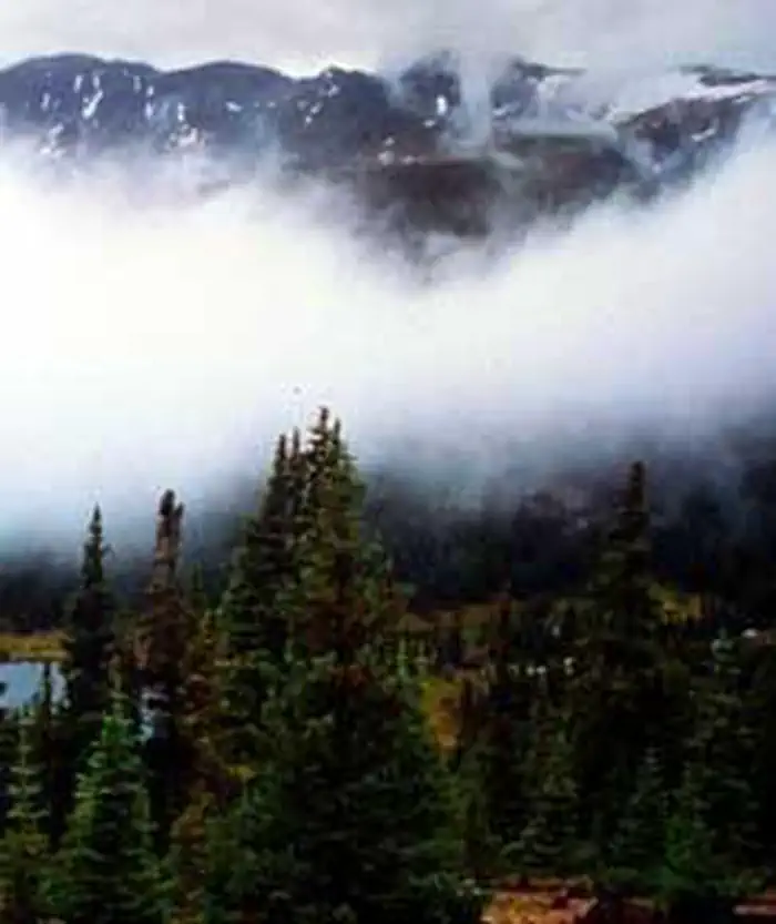 Mount Massive Wilderness photo