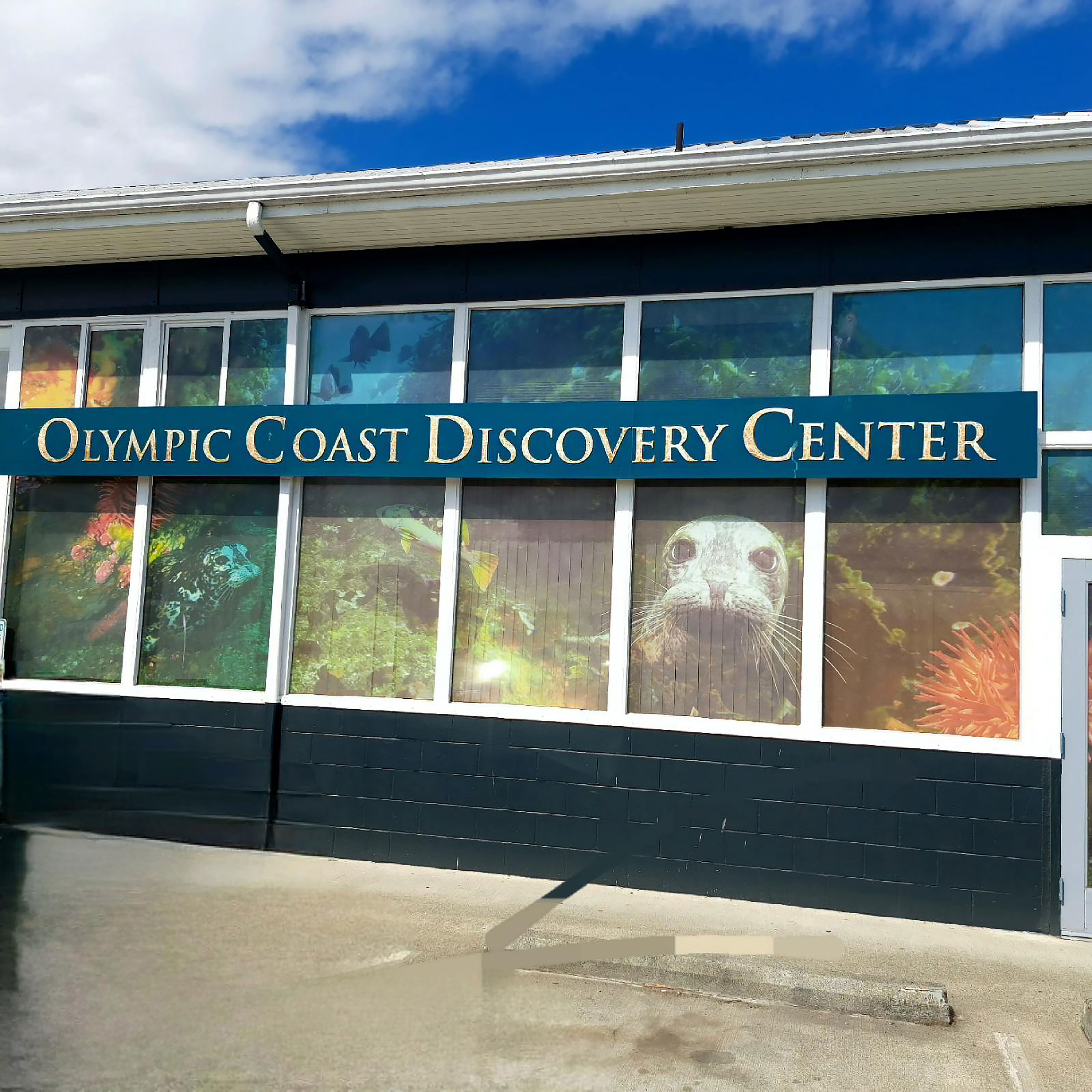 Olympic Coast Discovery Center photo
