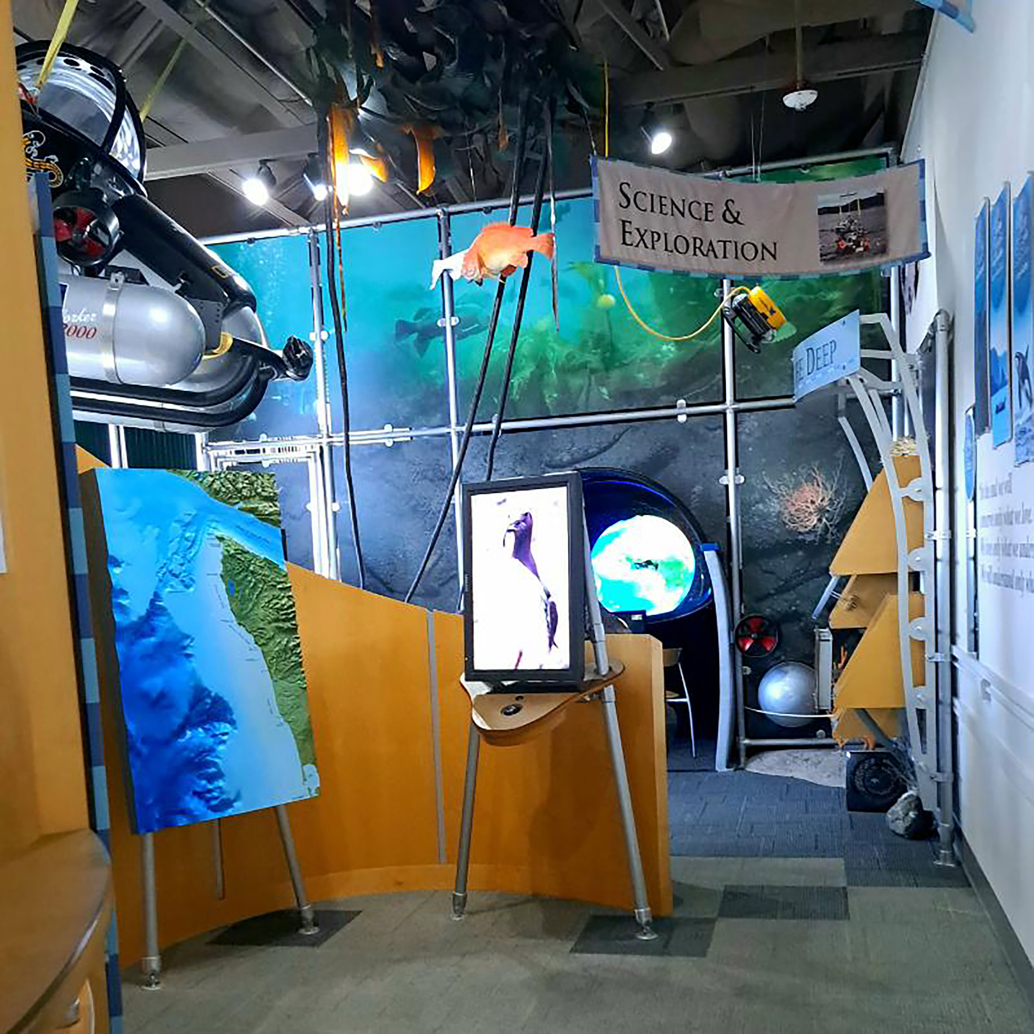 Olympic Coast Discovery Center photo 3