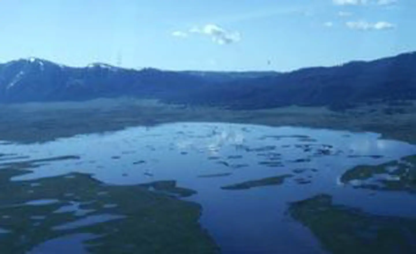 Red Rock Lakes Wilderness photo