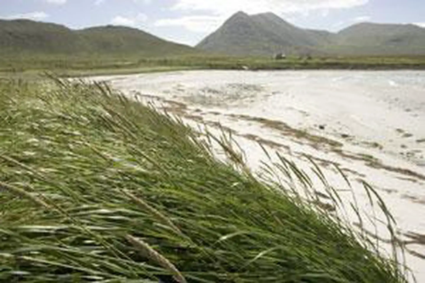 Simeonof Wilderness photo