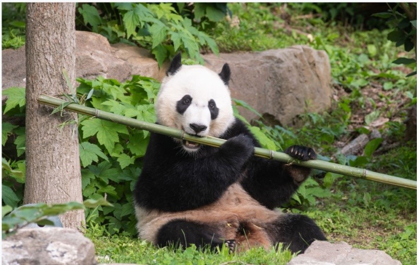 Smithsonian National Zoological Park photo 2