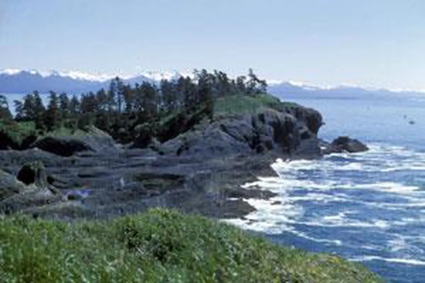 St. Lazaria Wilderness photo