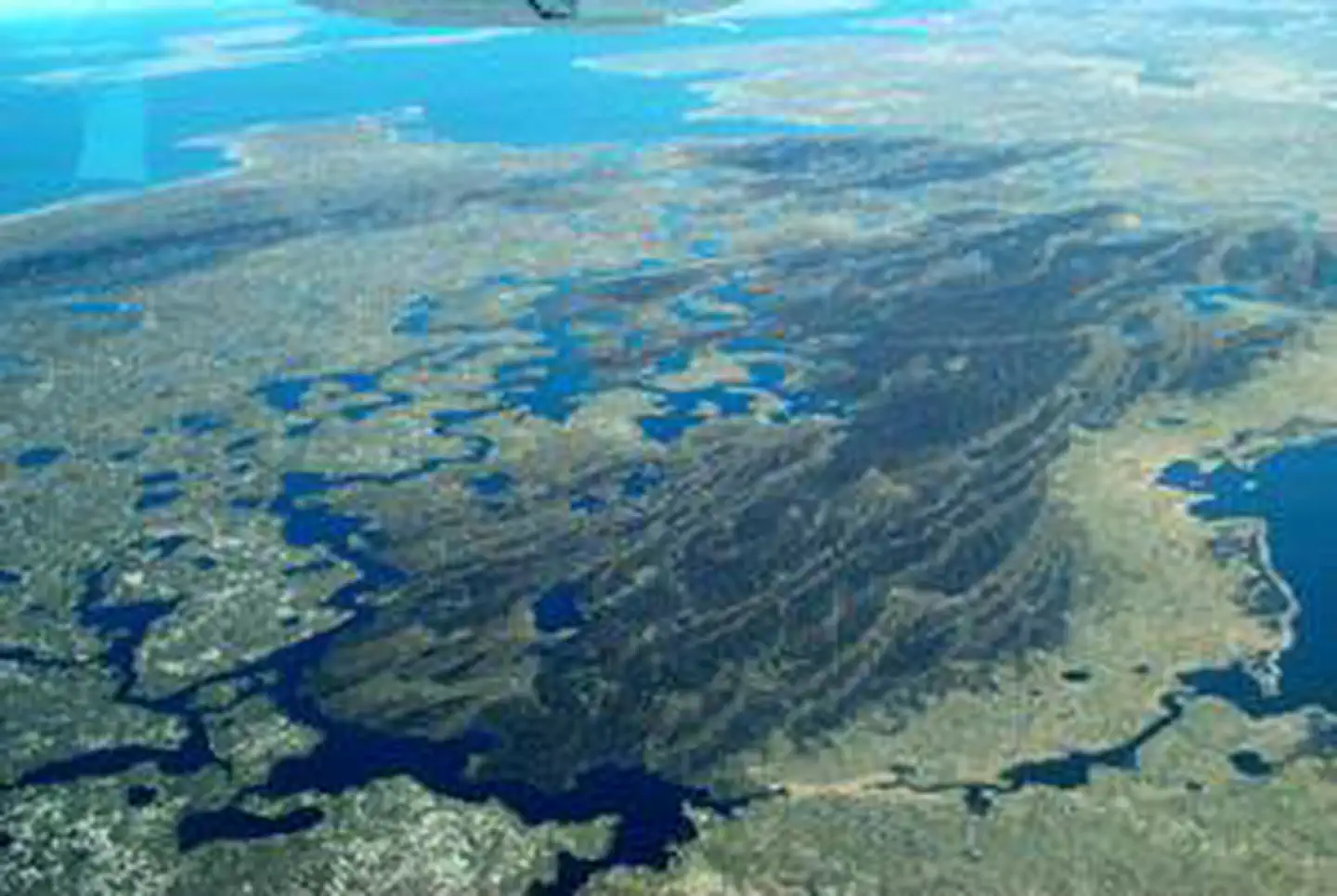 Swanquarter Wilderness photo