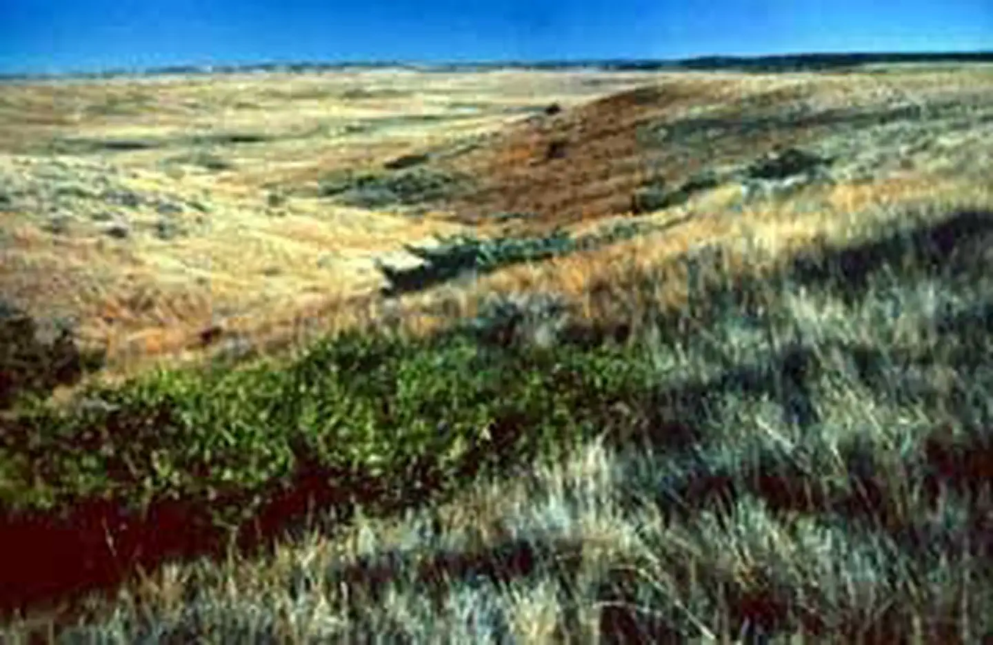 UL Bend Wilderness photo