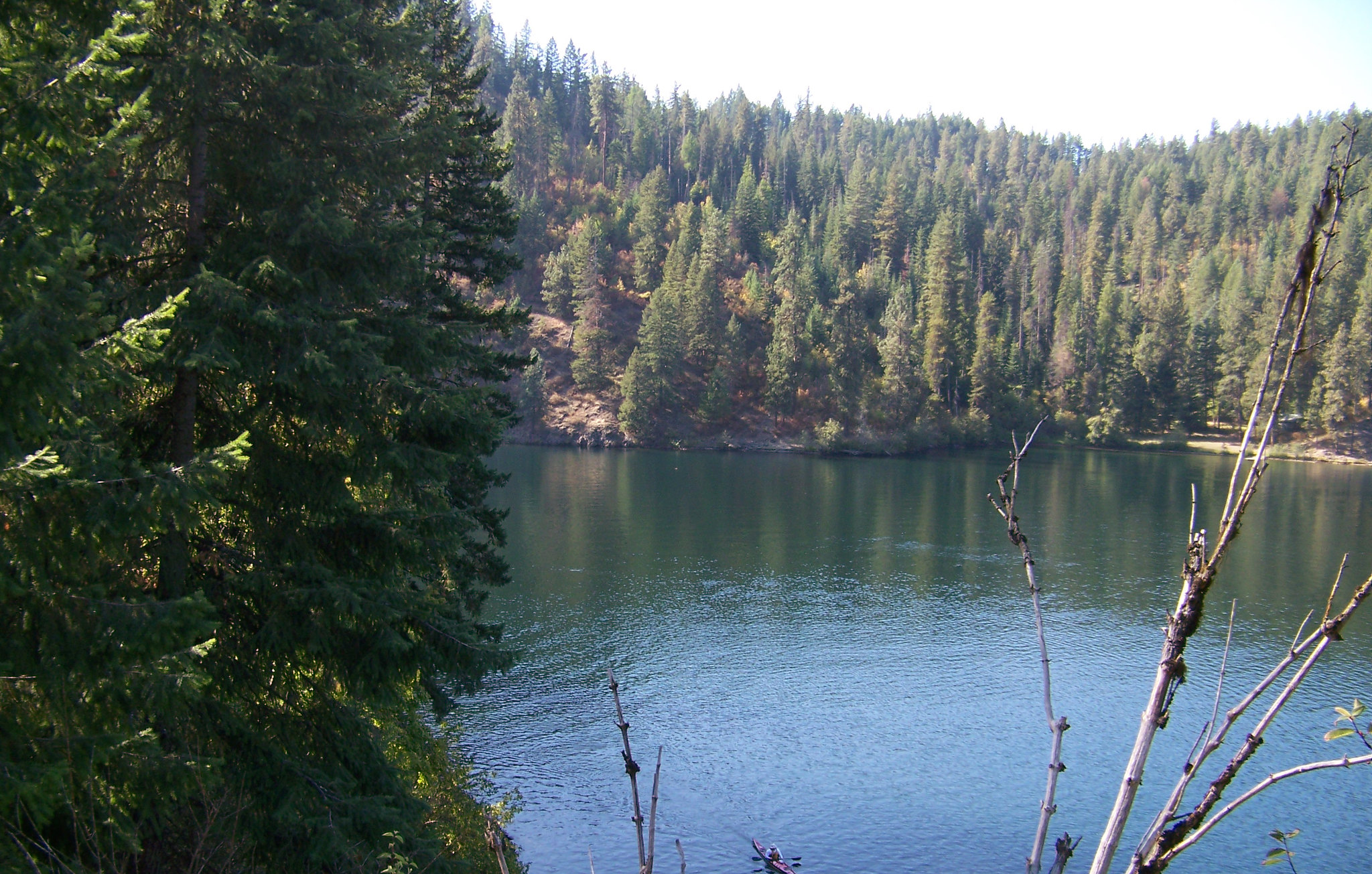 Blue Creek Bay Recreation Site and Trail photo