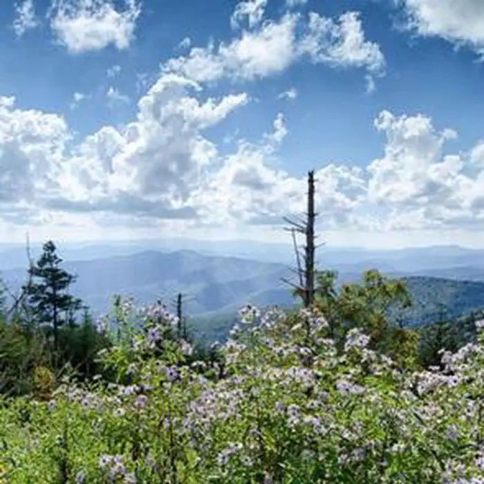 Clingmans Dome Solar Eclipse Event August 21 2017 photo 2