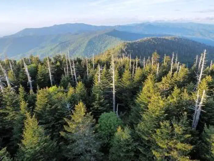 Clingmans Dome Solar Eclipse Event August 21 2017 photo 3