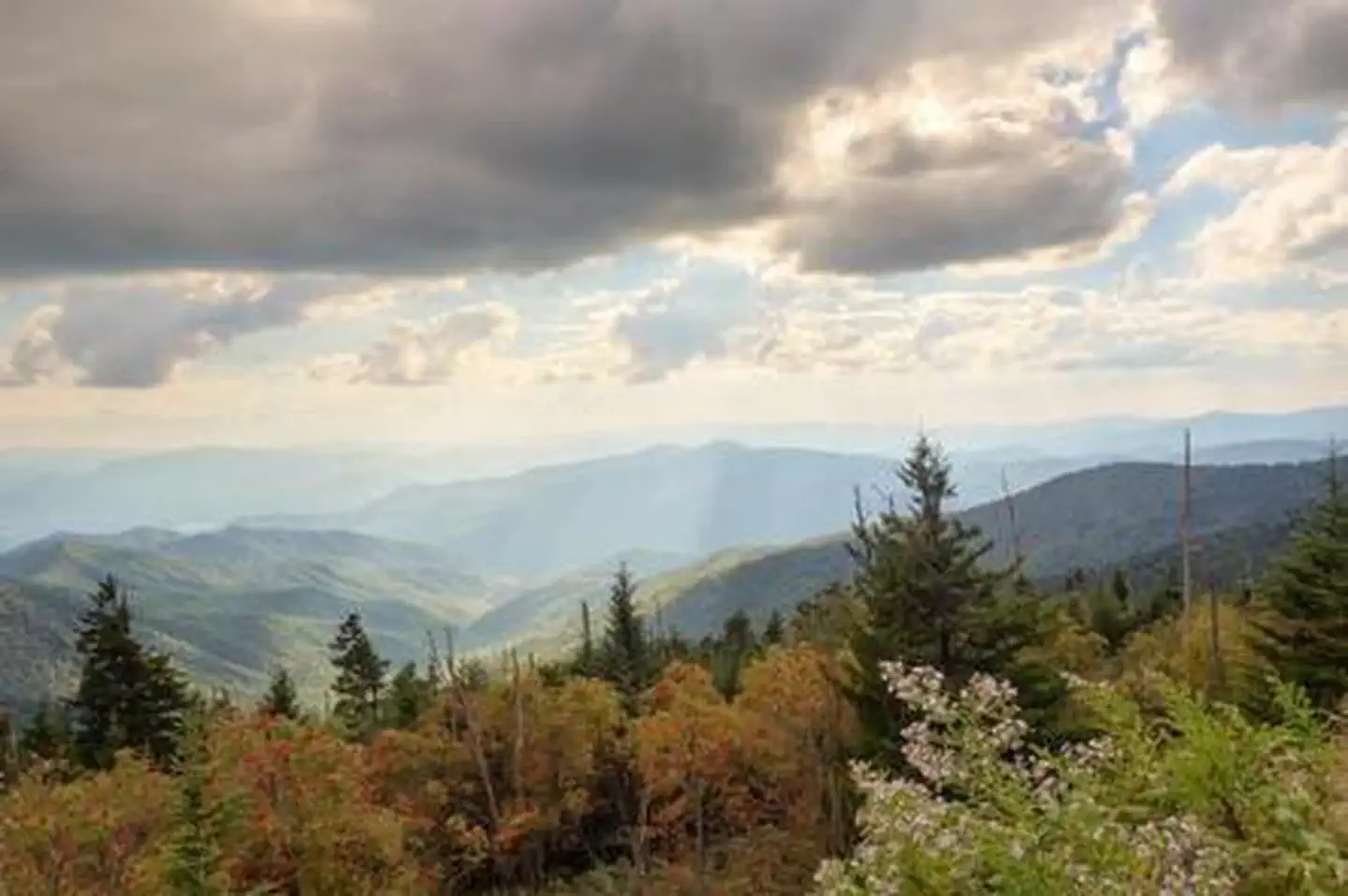 Clingmans Dome Solar Eclipse Event August 21 2017 photo 4