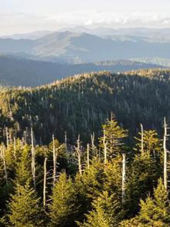 Clingmans Dome Solar Eclipse Event August 21 2017 photo 5
