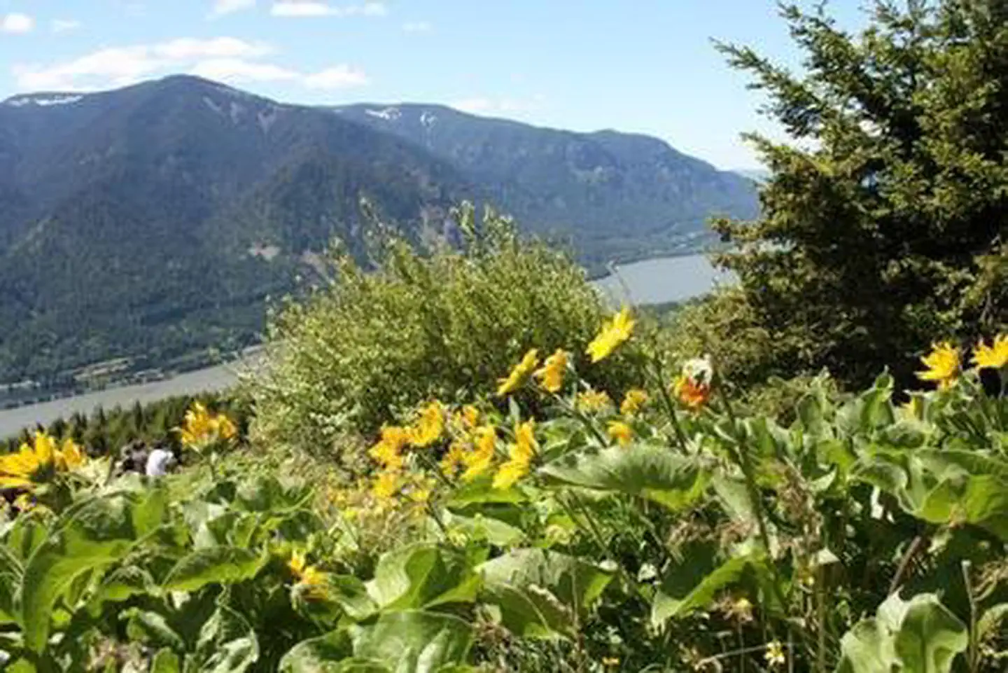 Dog Mountain Trail System Permits photo 3