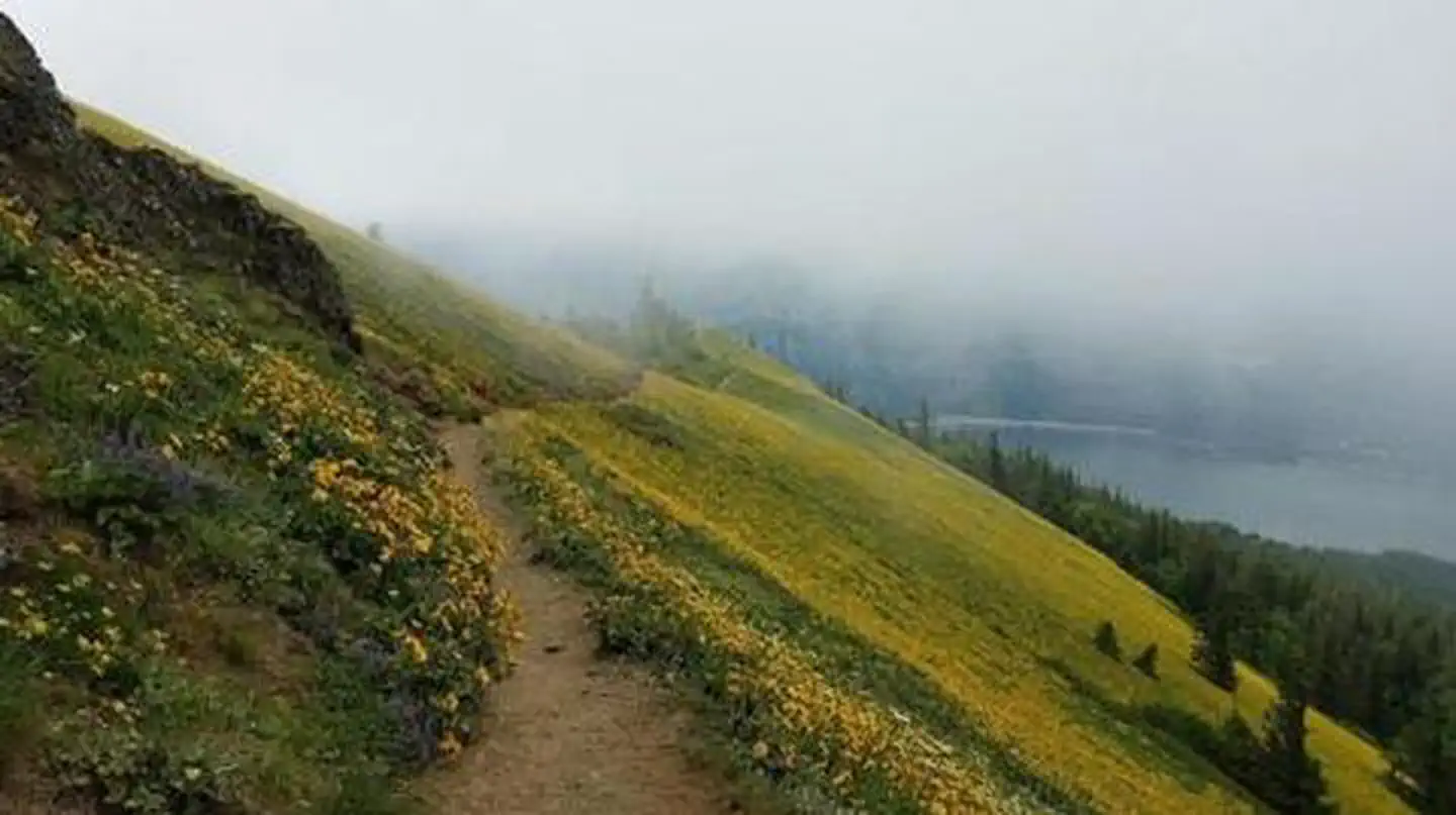 Dog Mountain Trail System Permits photo 5