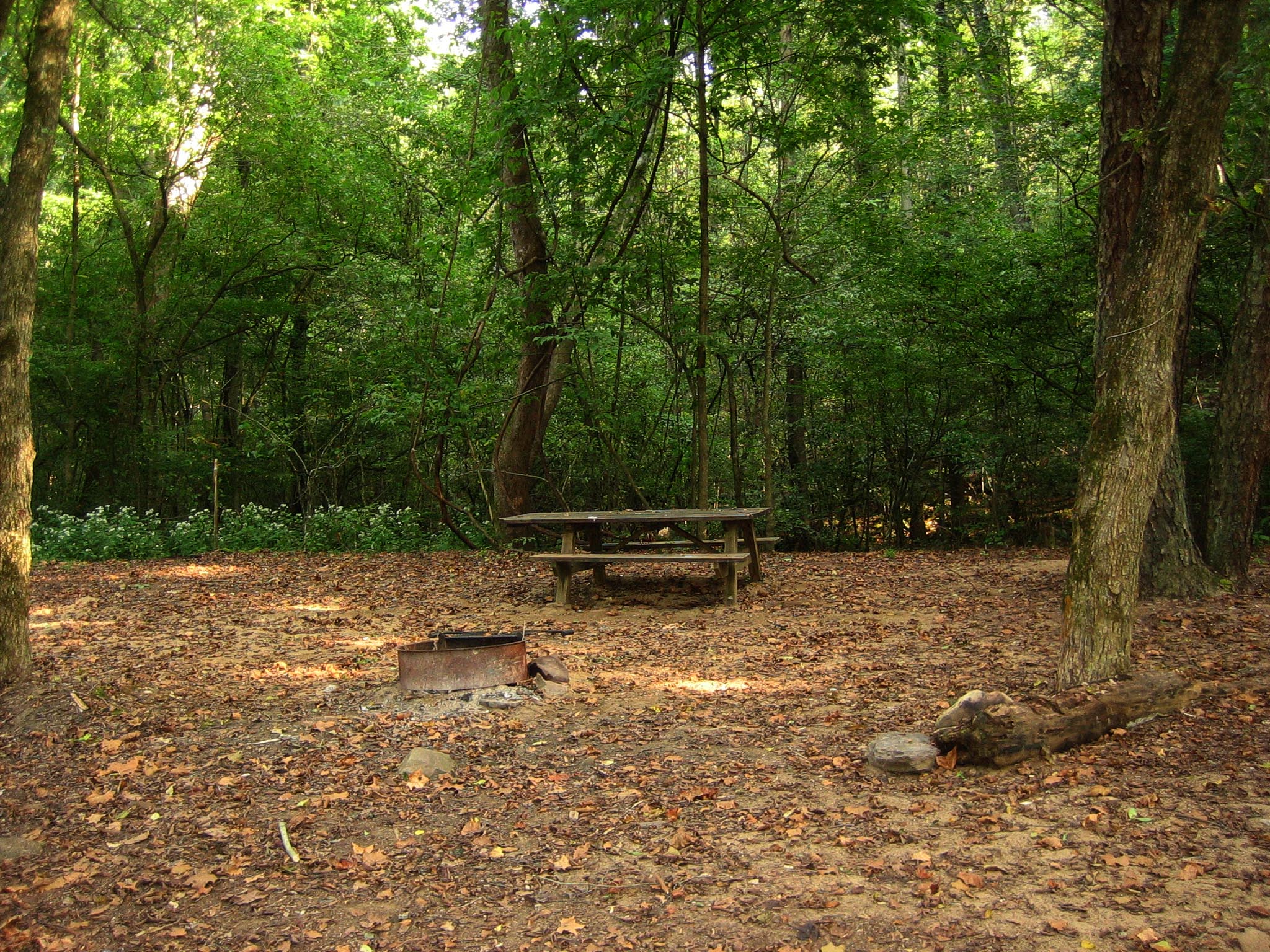 Glade Creek Campground photo 2
