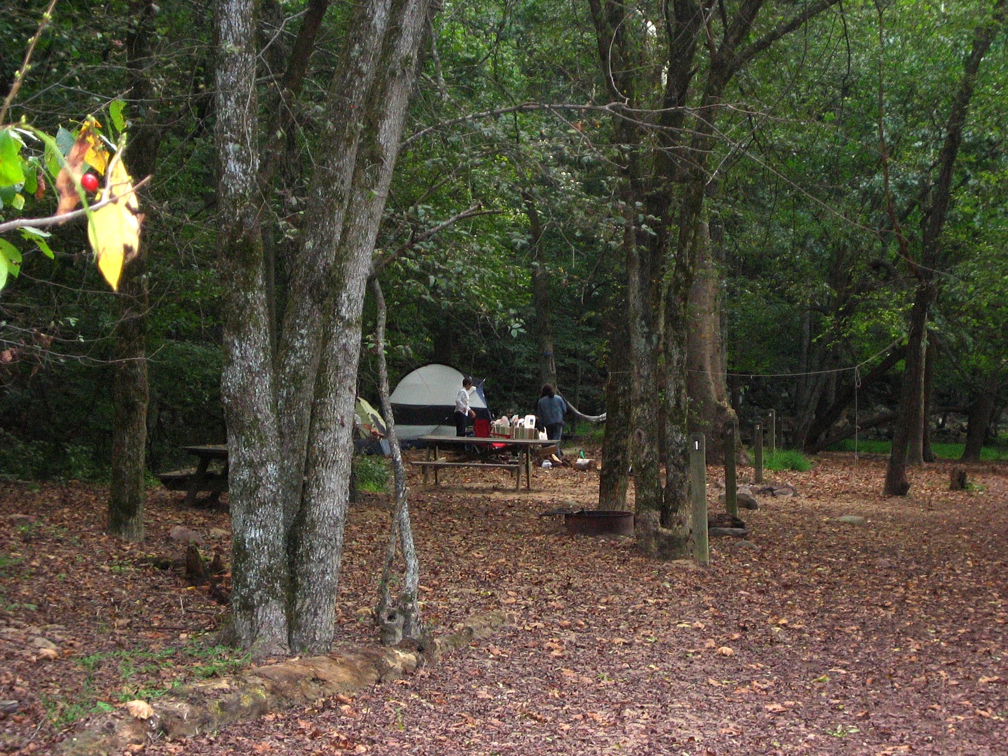 Glade Creek Campground photo 3