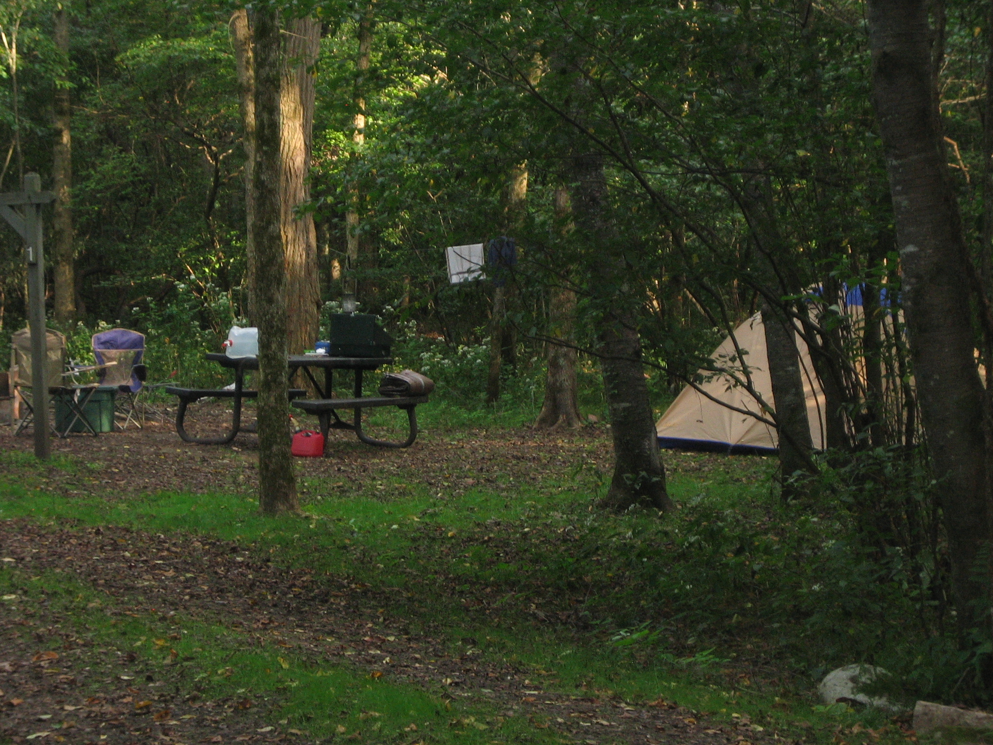 Glade Creek Campground photo 5