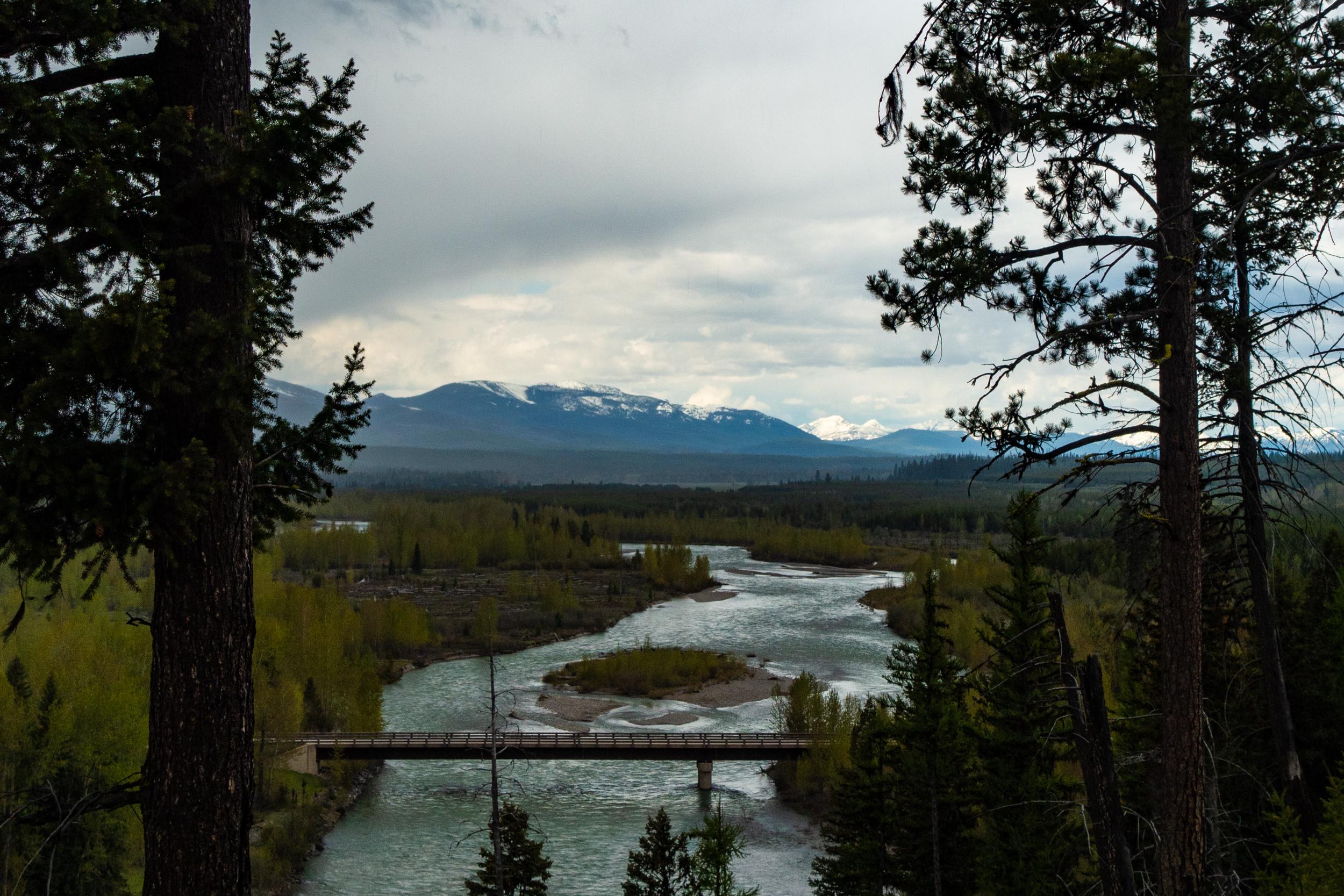 Logging Creek photo