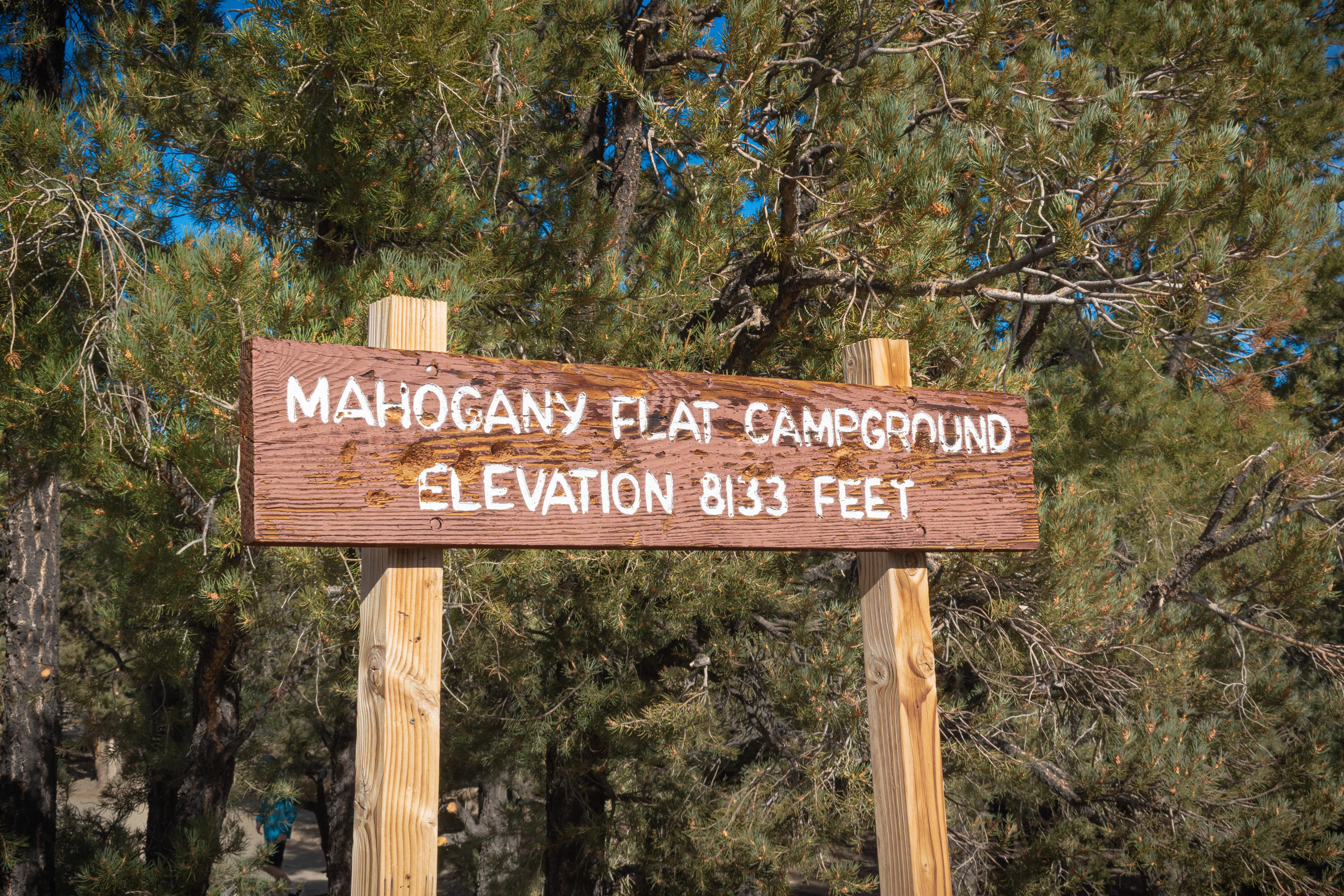 Mahogany Flat Campground (Primitive) photo