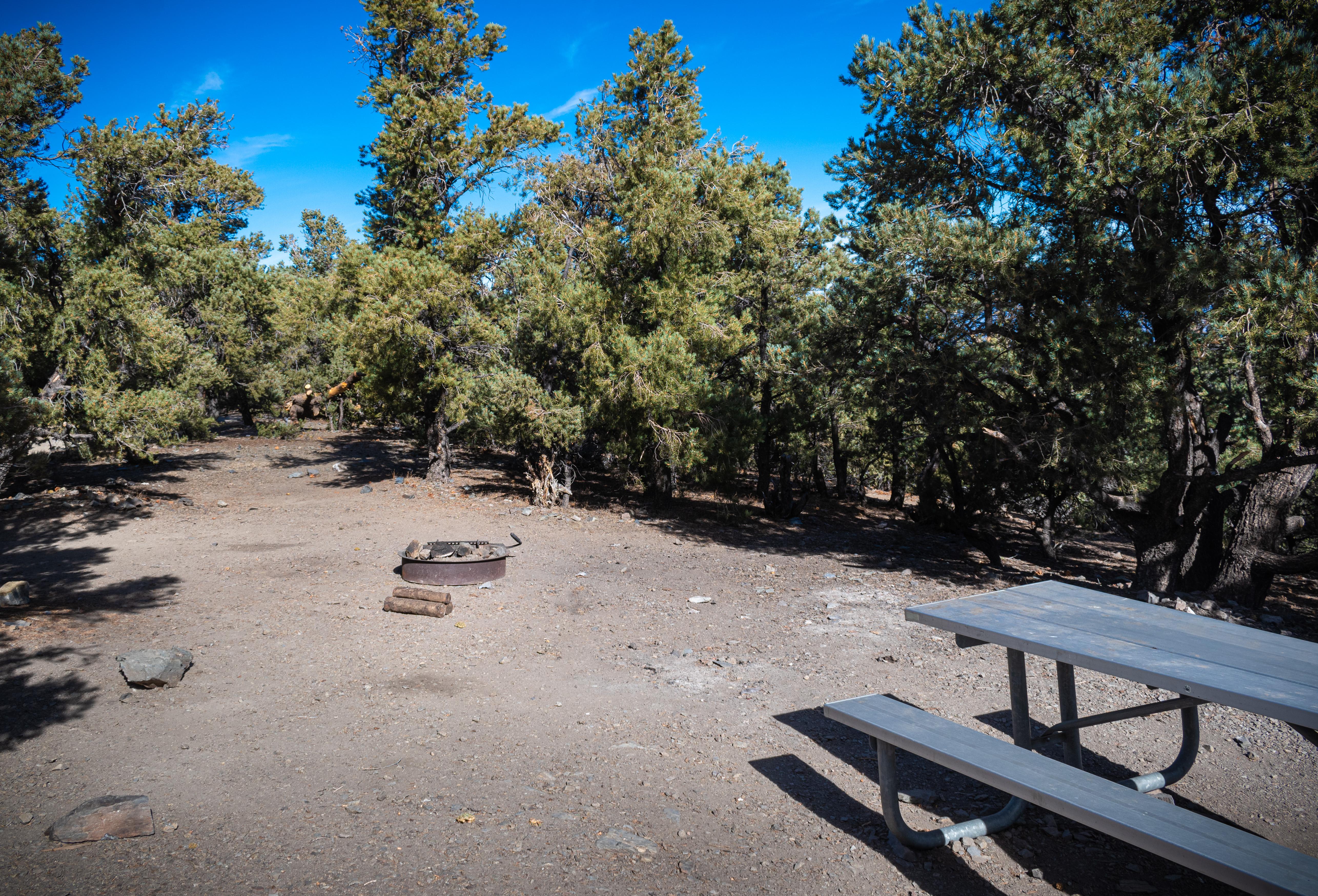 Mahogany Flat Campground (Primitive) photo 2