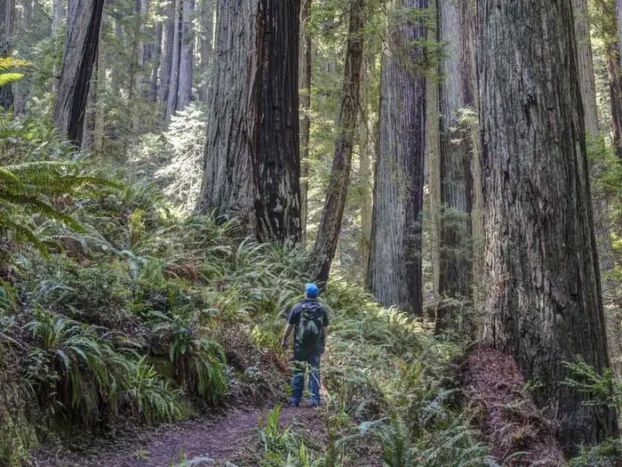 Salmon Pass Trail Docent Guided Hiking Tours photo 2