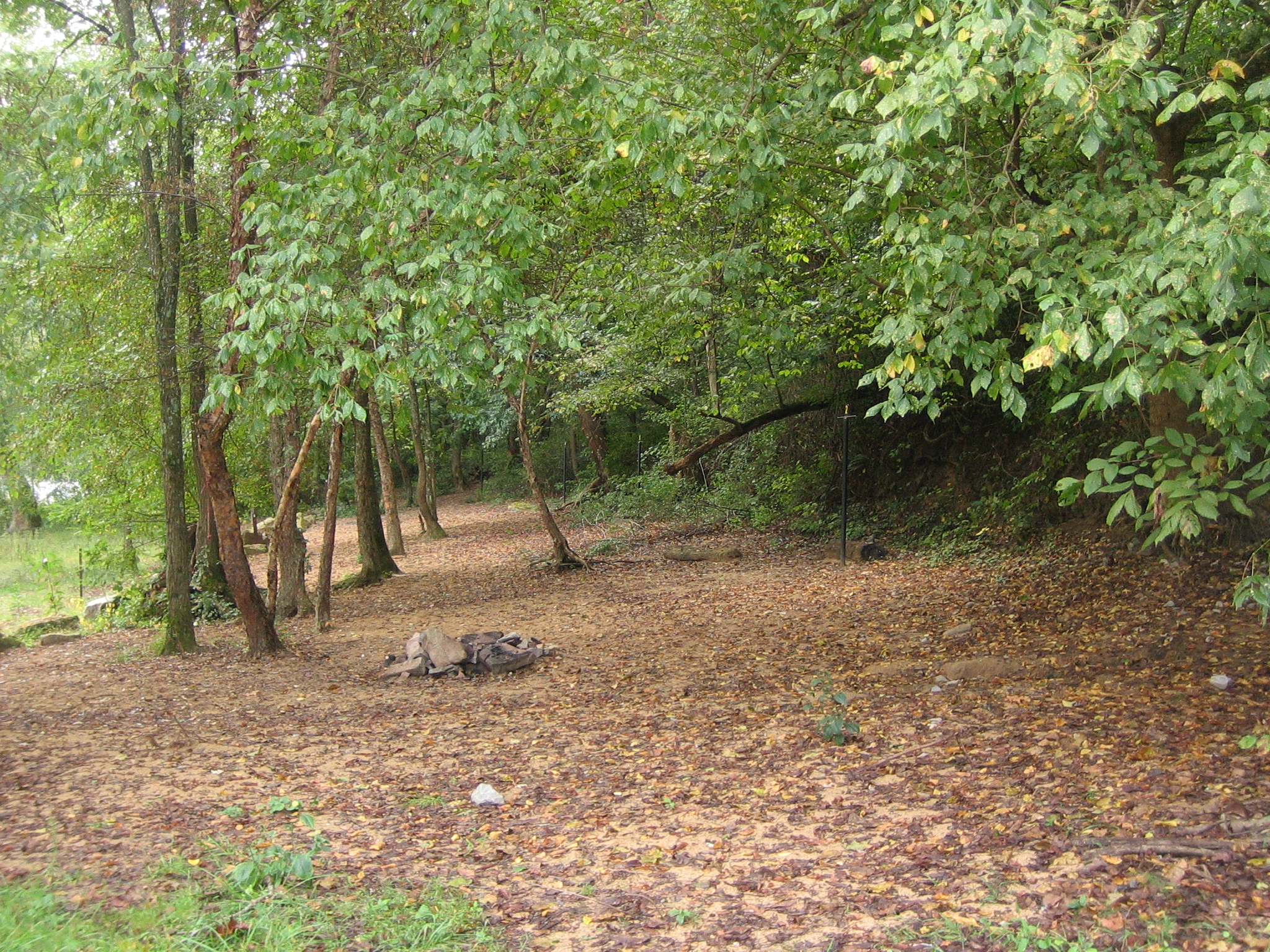 Stone Cliff photo 2